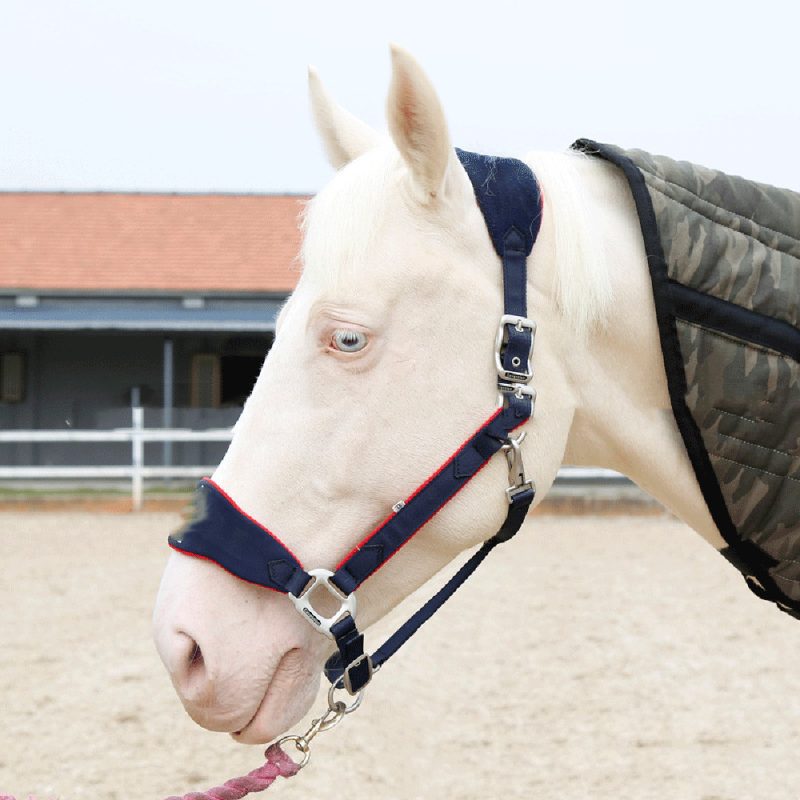 New Fleece Lined Horse Halter - Afbeelding 2