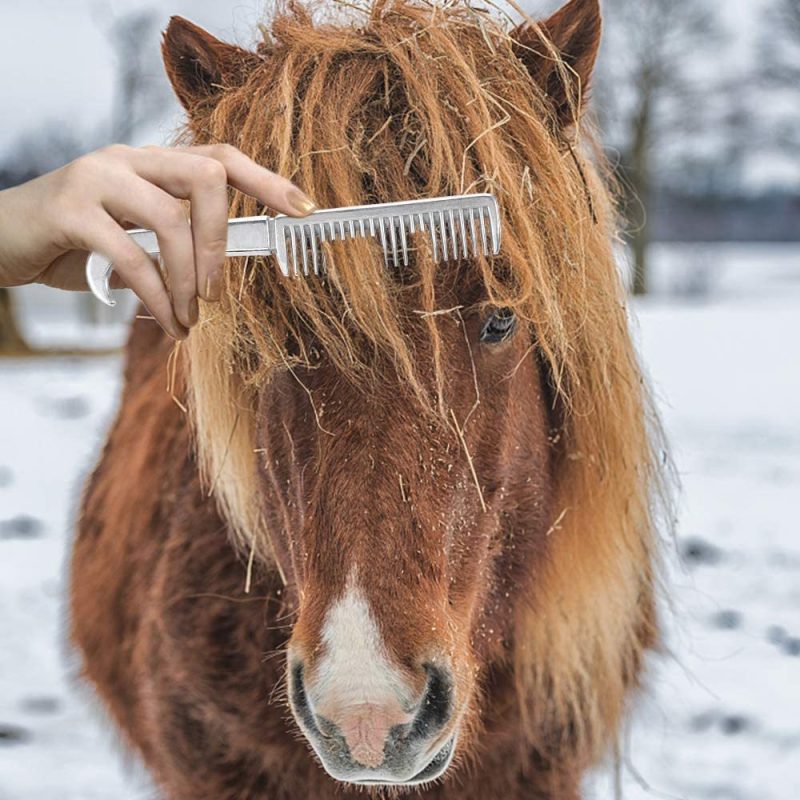 Horse Cleaning Brush Bent Hook